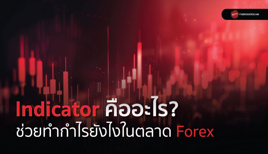 Indicator คืออะไร? ช่วยทำกำไรยังไงในตลาด Forex