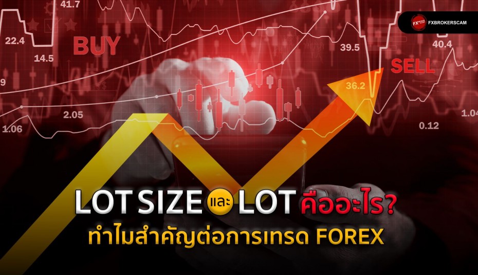 Lot คืออะไร? สำคัญอย่างไรในตลาด Forex