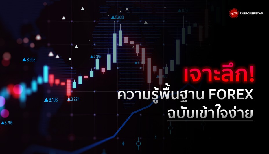 ความรู้พื้นฐาน Forex ฉบับเข้าใจง่าย