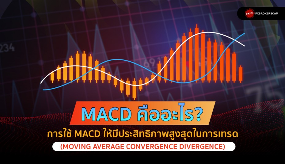 MACD คืออะไร? การใช้ MACD ให้มีประสิทธิภาพสูงสุดในการเทรด