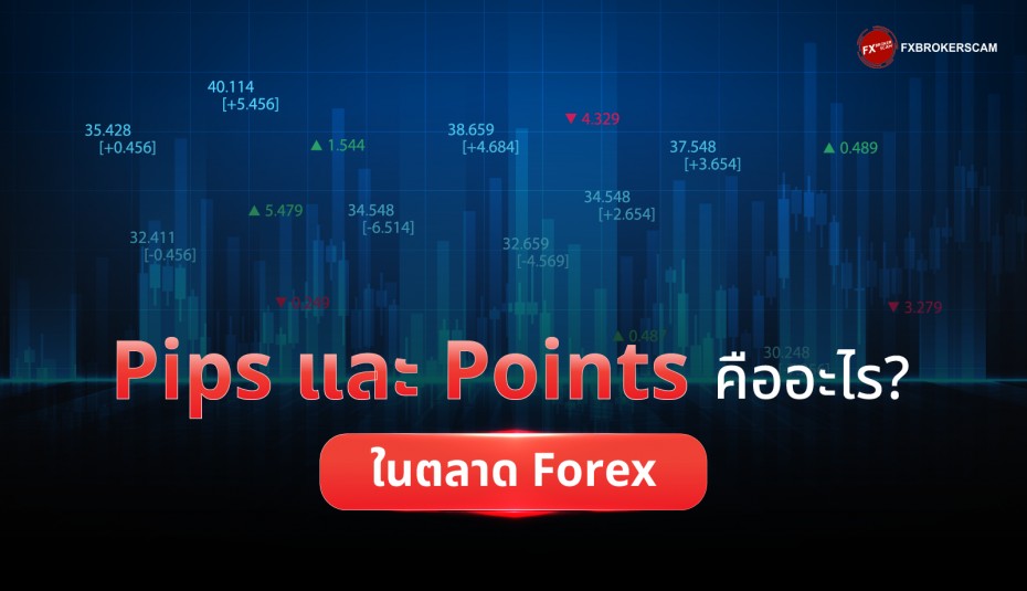 Pips และ Points คืออะไร? ในตลาด Forex