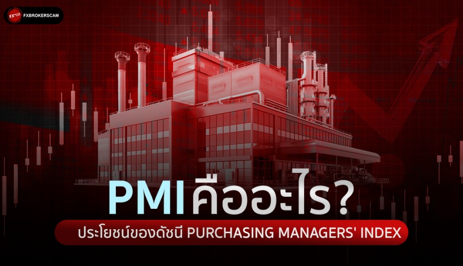 PMI คืออะไร? ประโยชน์ของดัชนี Purchasing Managers' Index