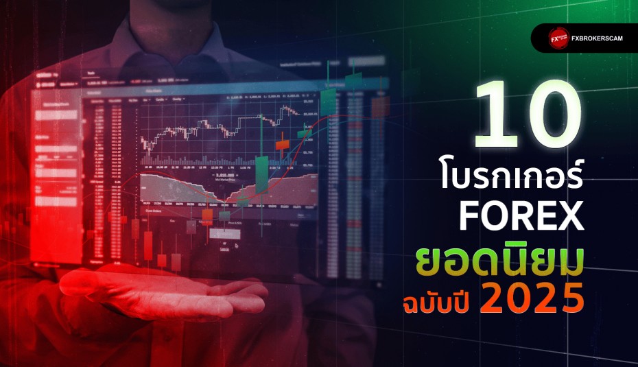 10 โบรกเกอร์ Forex ยอดนิยม ฉบับปี 2024