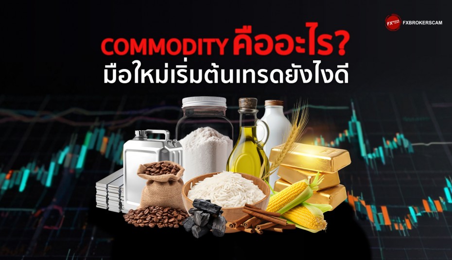 Commodity คืออะไร มือใหม่เริ่มต้นเทรดยังไงดี?