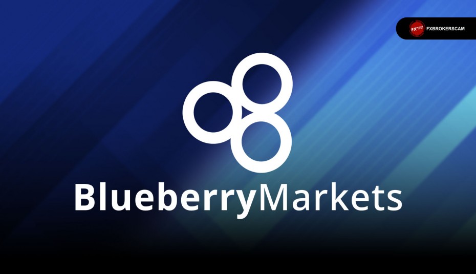 รีวิวโบรกเกอร์ Blueberry Markets ดีไหม? อัปเดตปี 2024